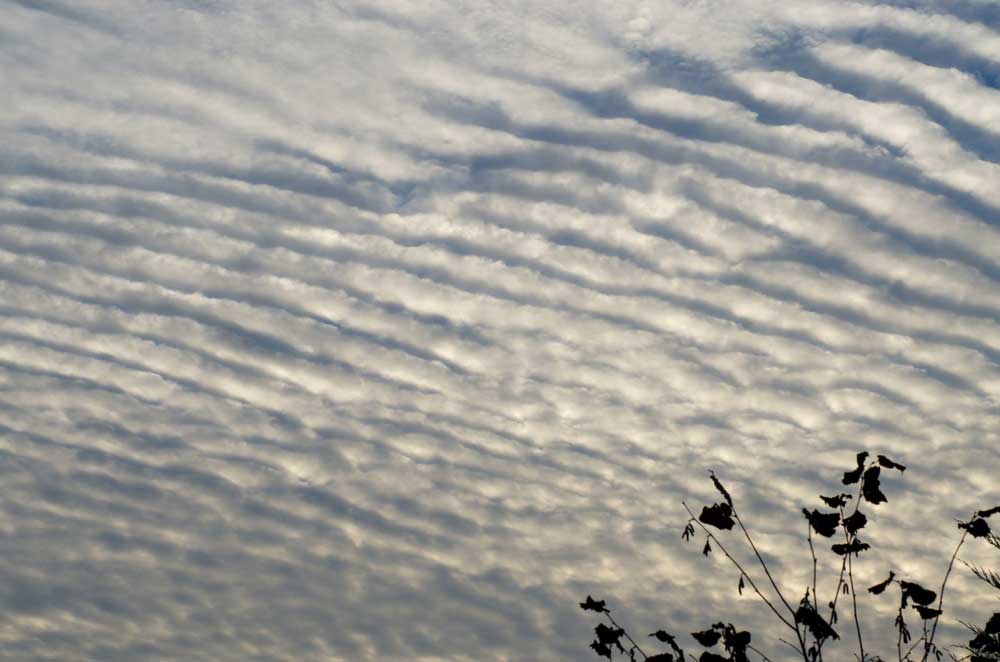 picture of altostratus