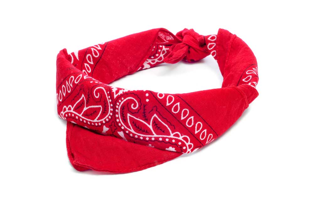 picture of bandanna