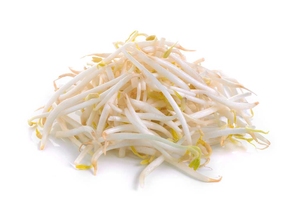 picture of bean-sprout