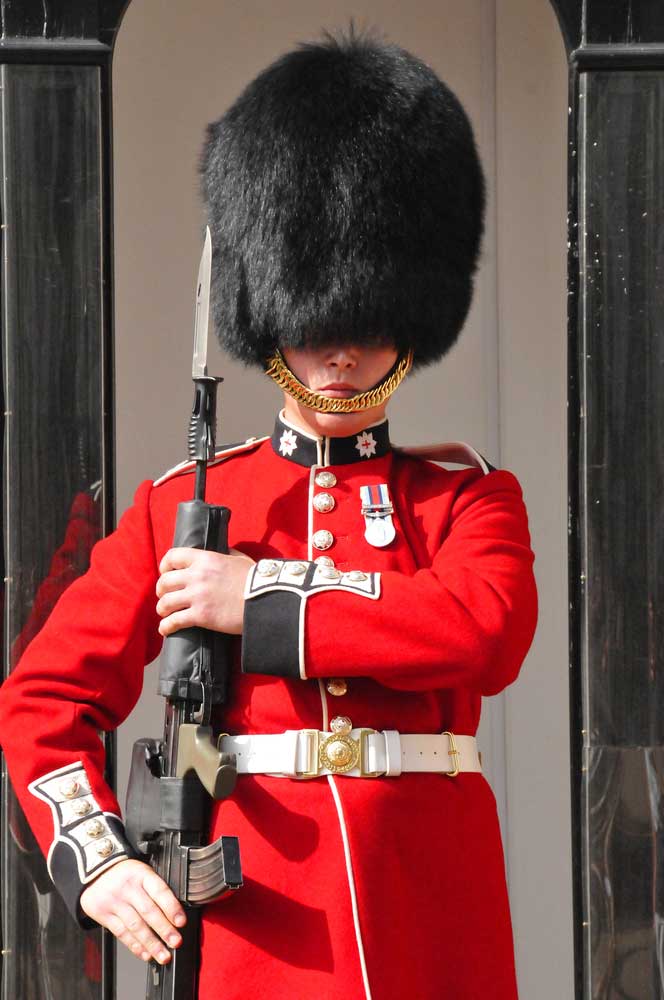 picture of bearskin