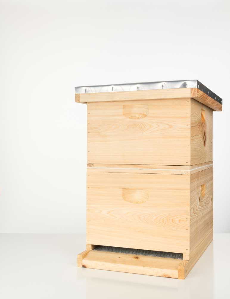 picture of beehive