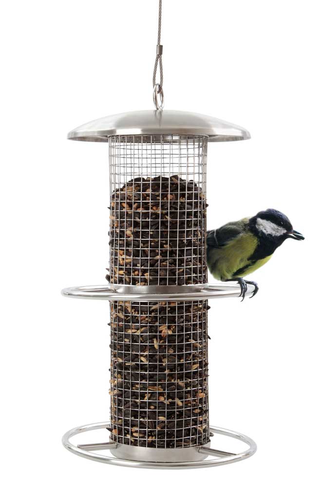 picture of bird feeder