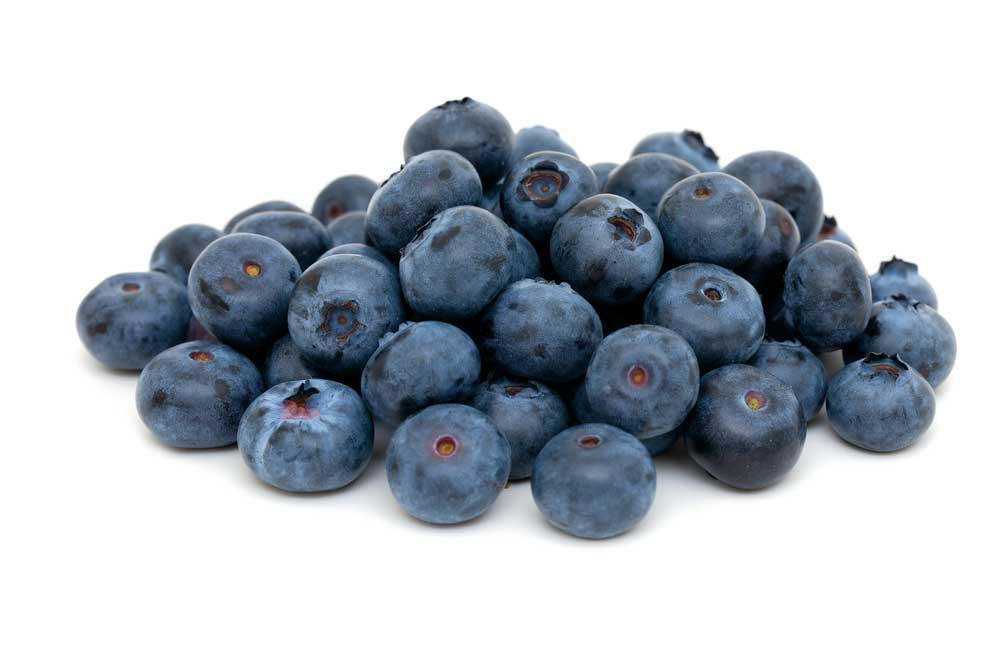 picture of blueberry