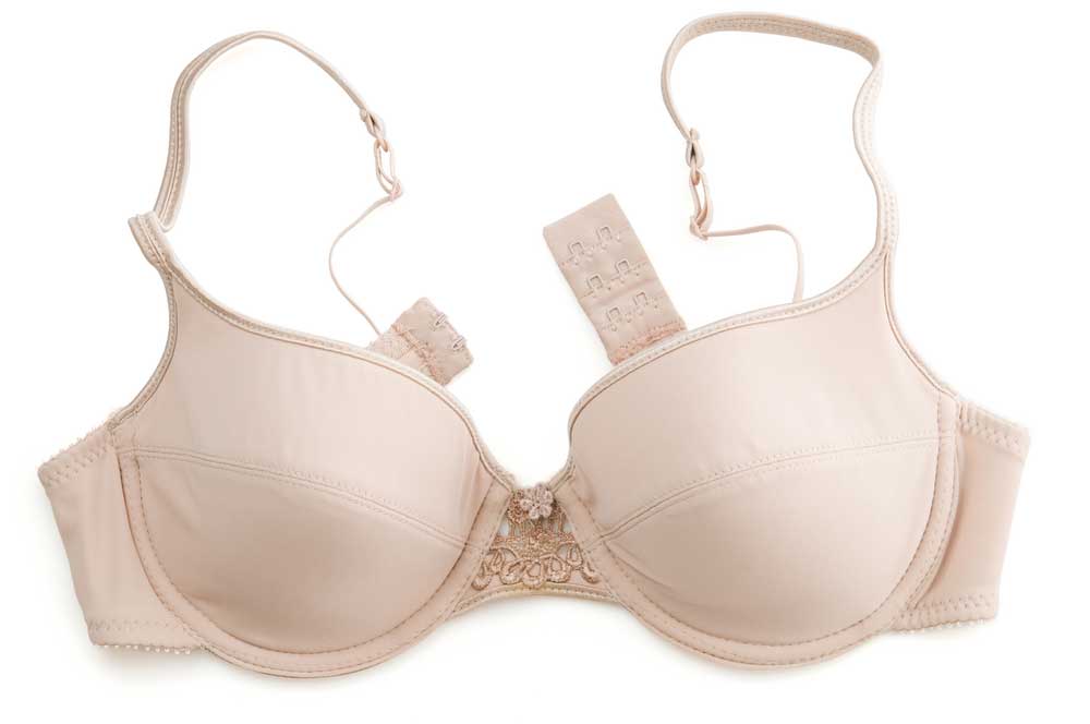 picture of bra