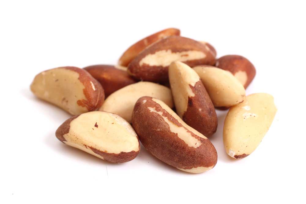 picture of brazil-nut