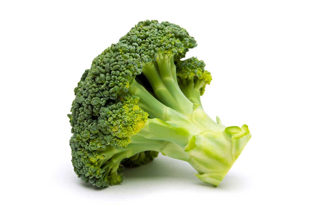 picture of broccoli