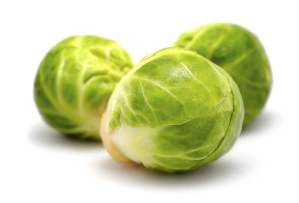 picture of brussels-sprout