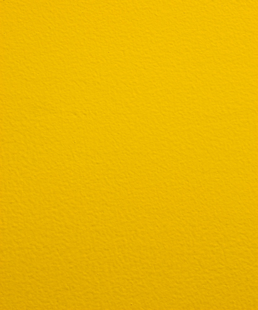 picture of canary yellow