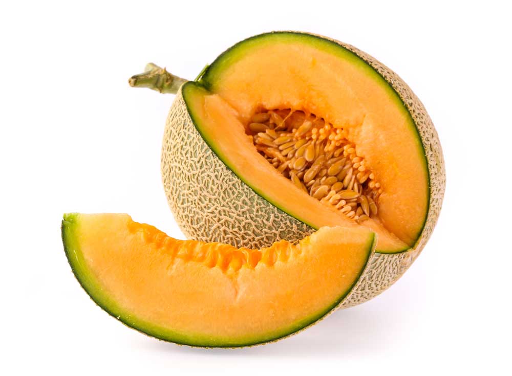 picture of cantaloupe