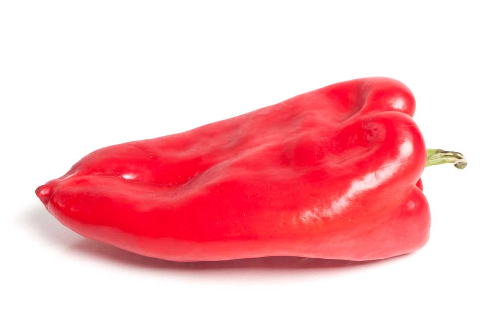 picture of capsicum