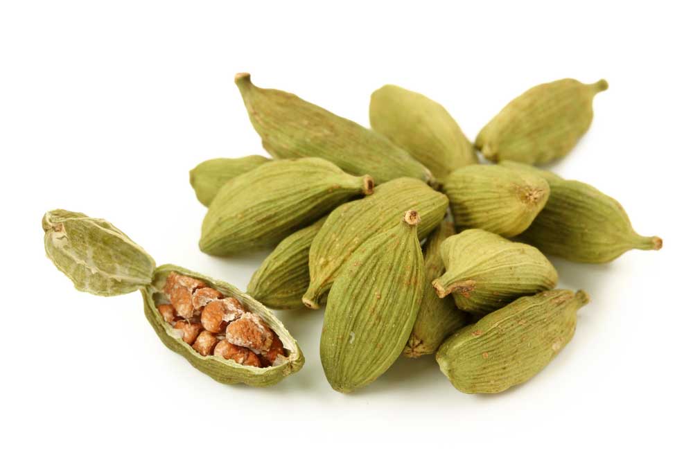 picture of cardamom