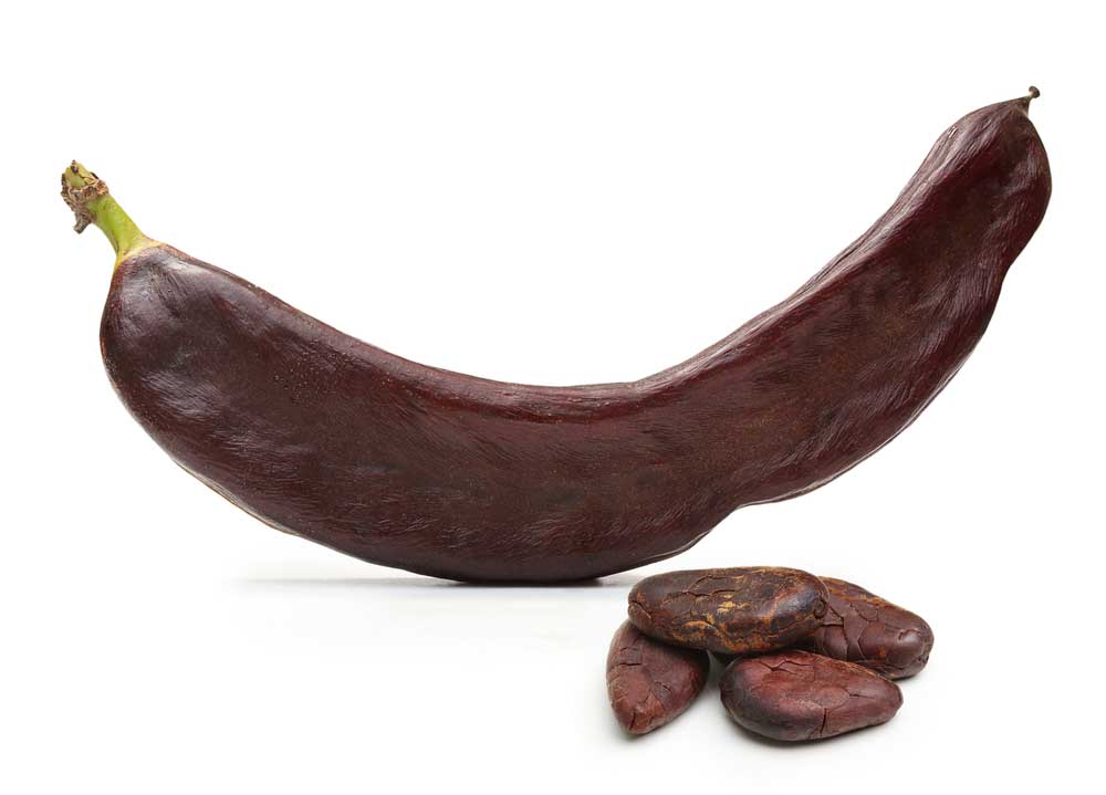 picture of carob