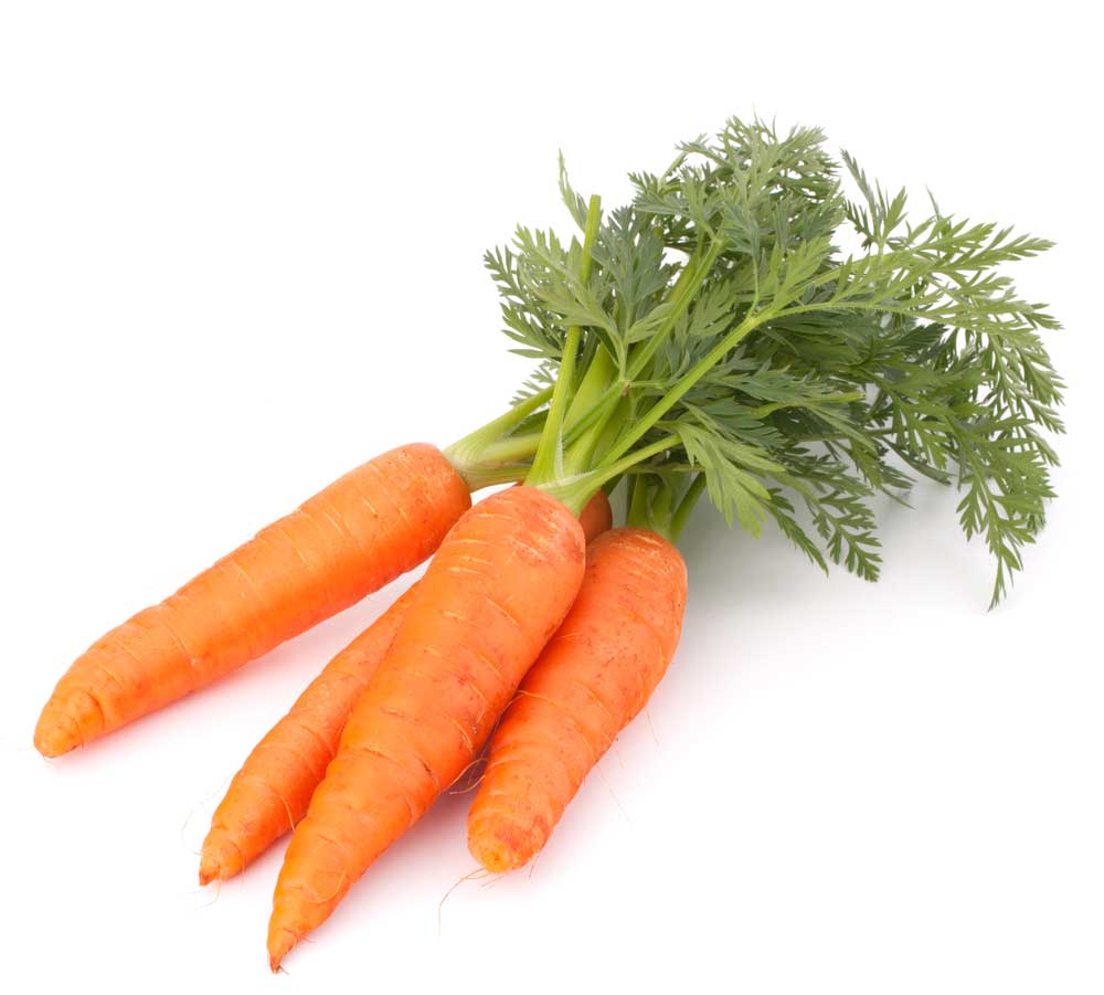 picture of carrot