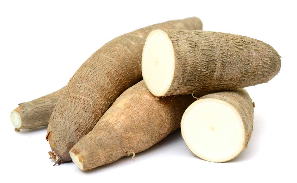 picture of cassava