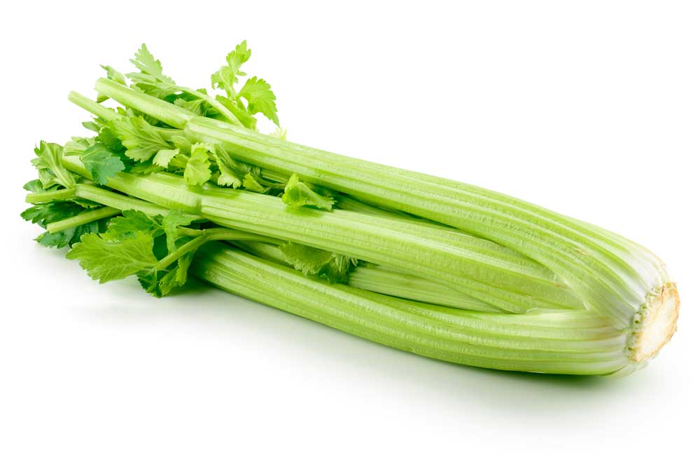 picture of celery