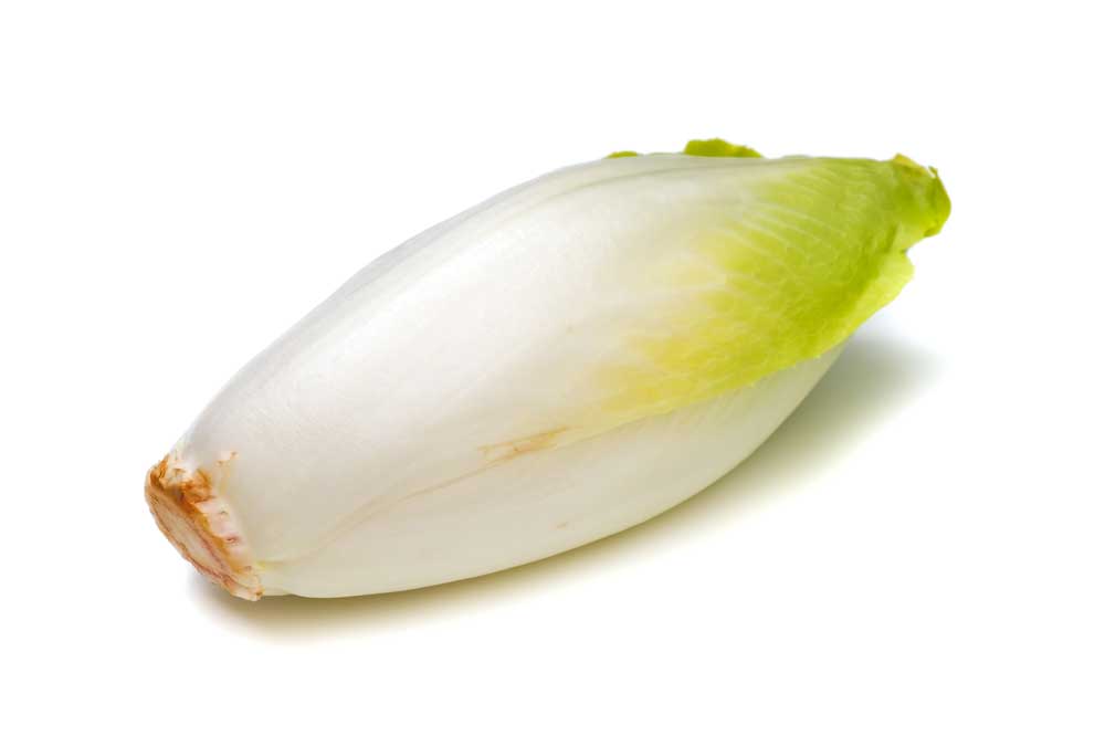 picture of chicory