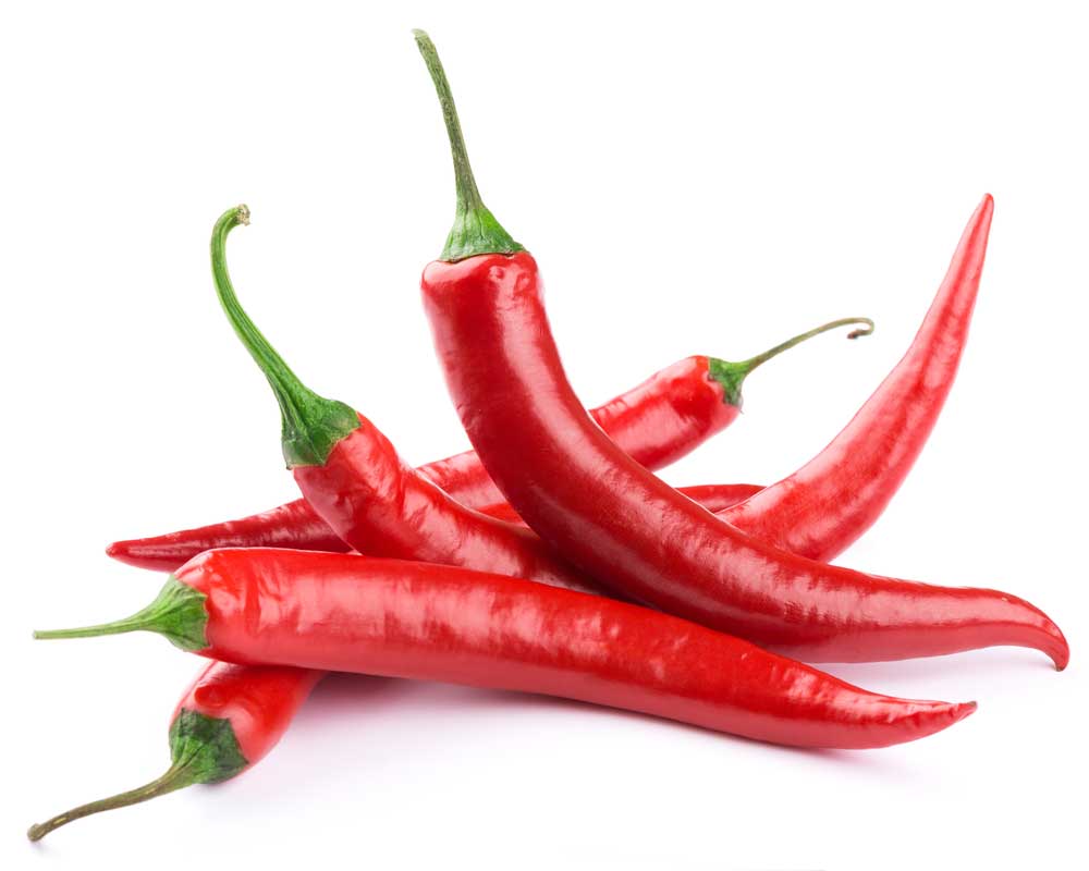 picture of chilli