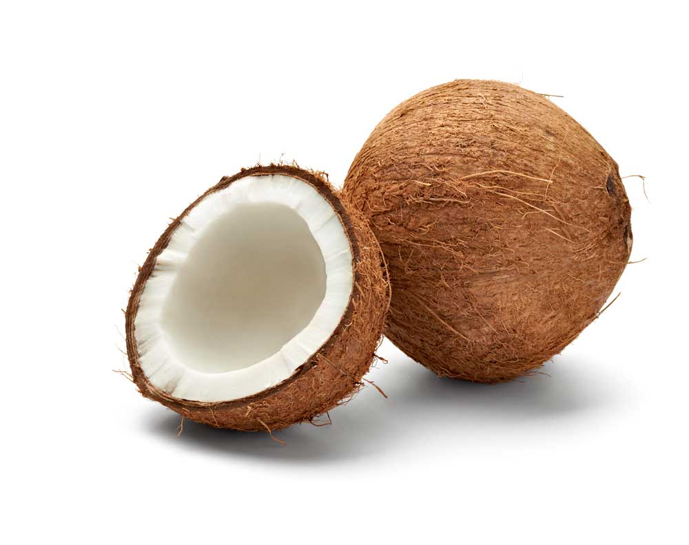 picture of coconut