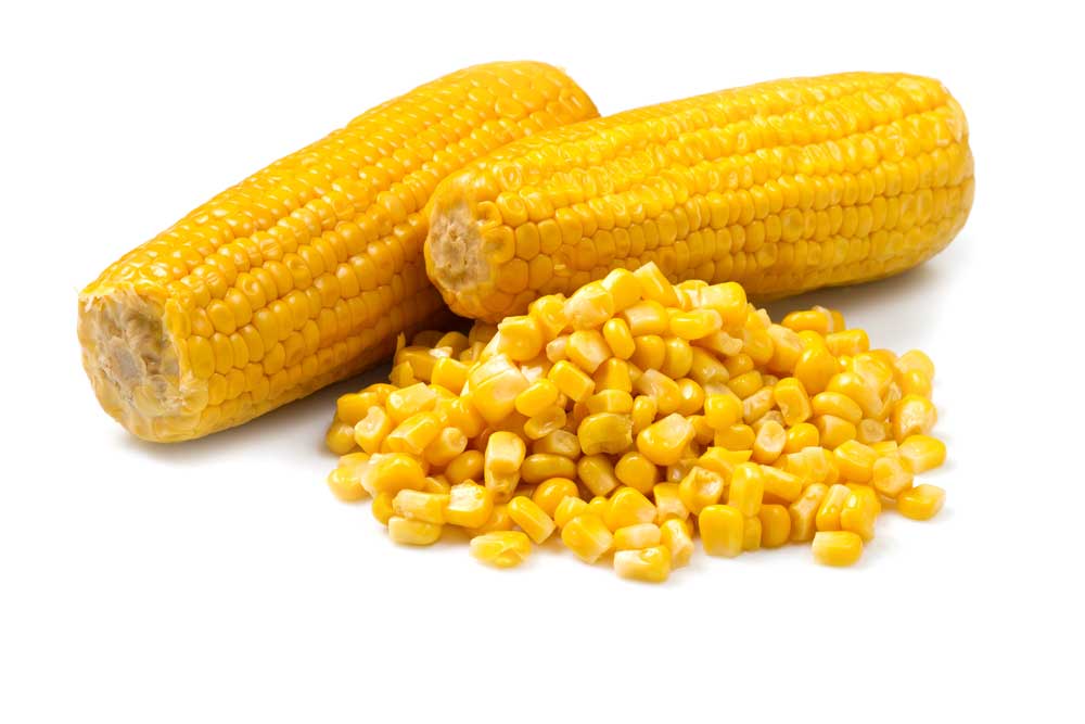 picture of corn