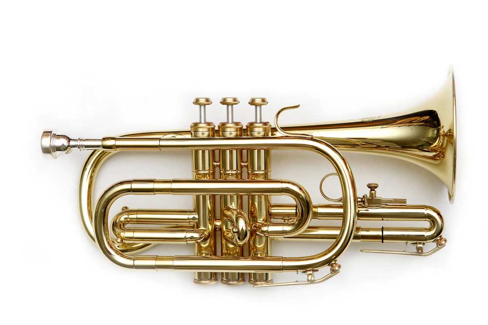 picture of cornet