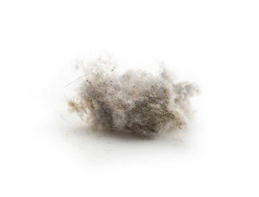 picture of dust