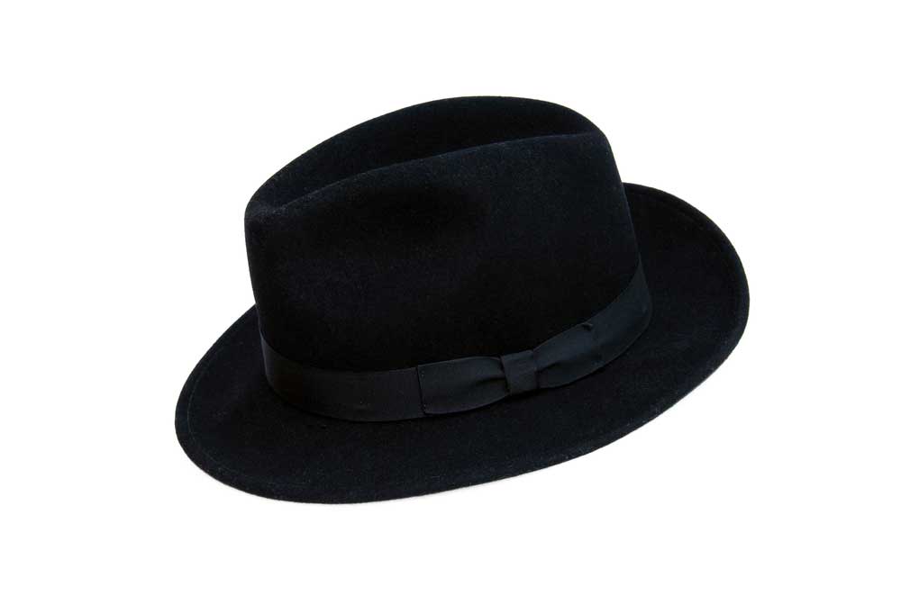 picture of fedora