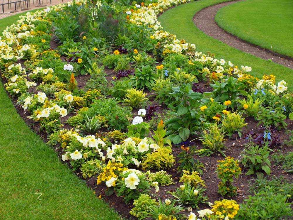 picture of flowerbed