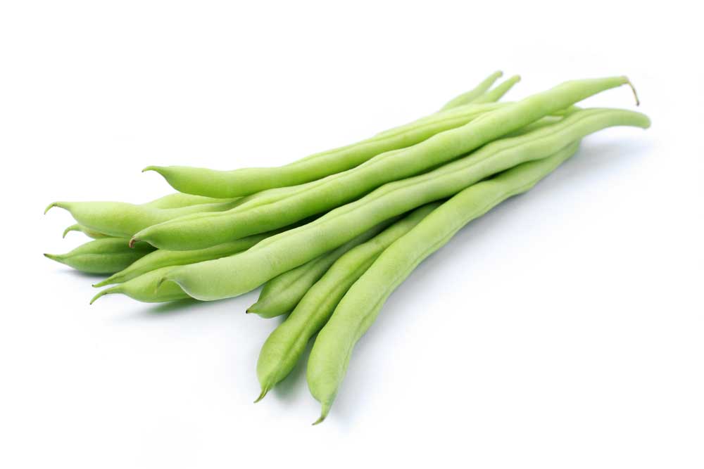 picture of french-bean