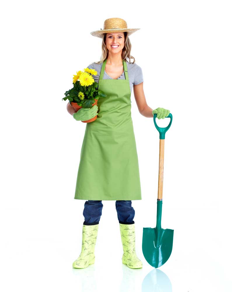 picture of gardener