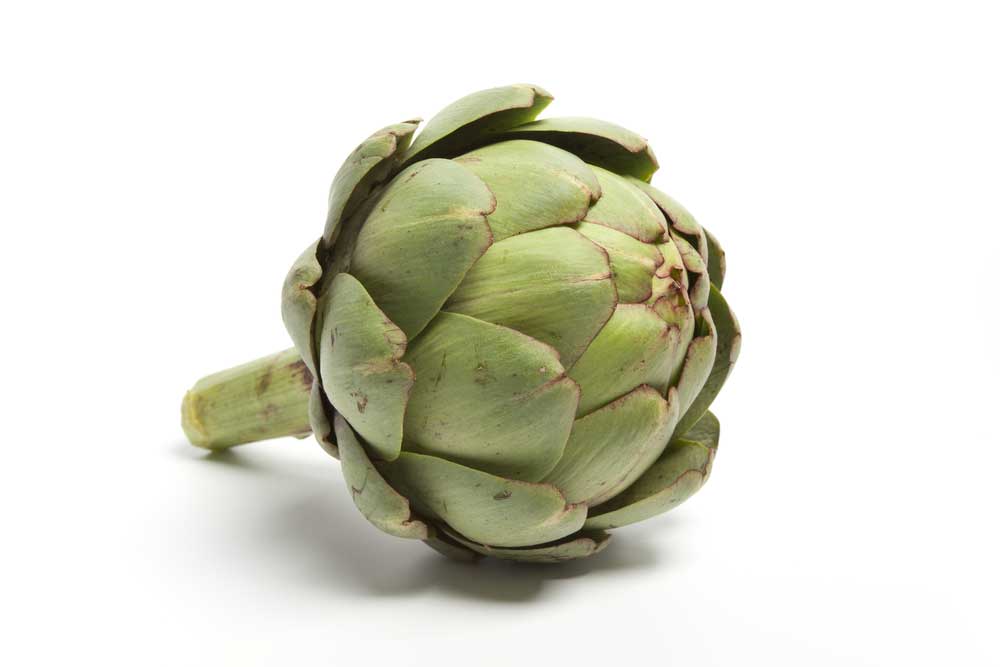 picture of globe-artichoke