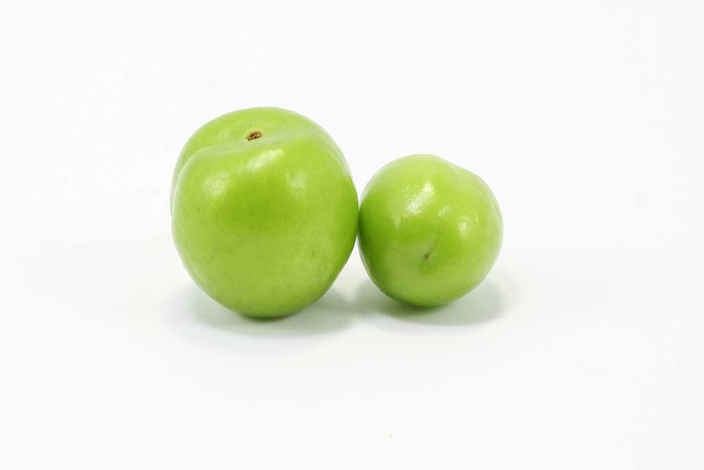 picture of greengage