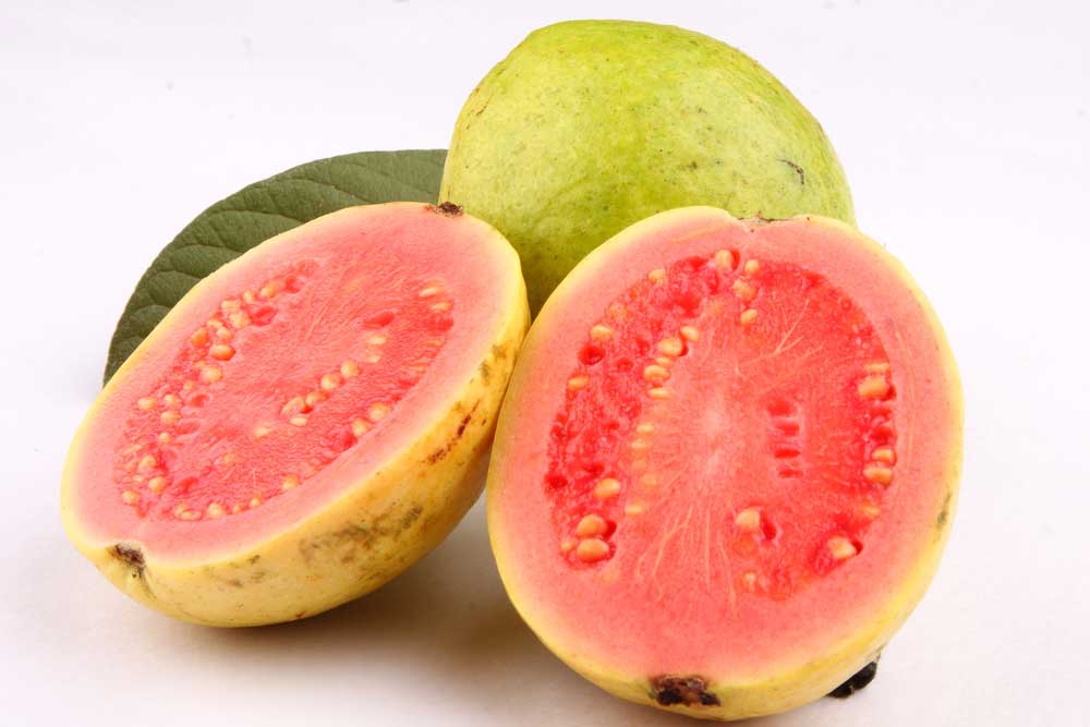 picture of guava