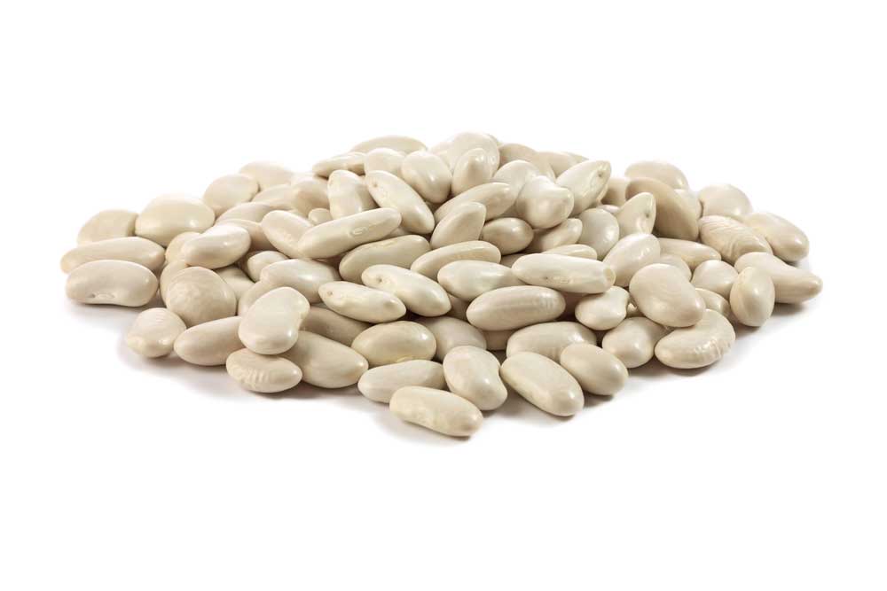 picture of haricot-bean