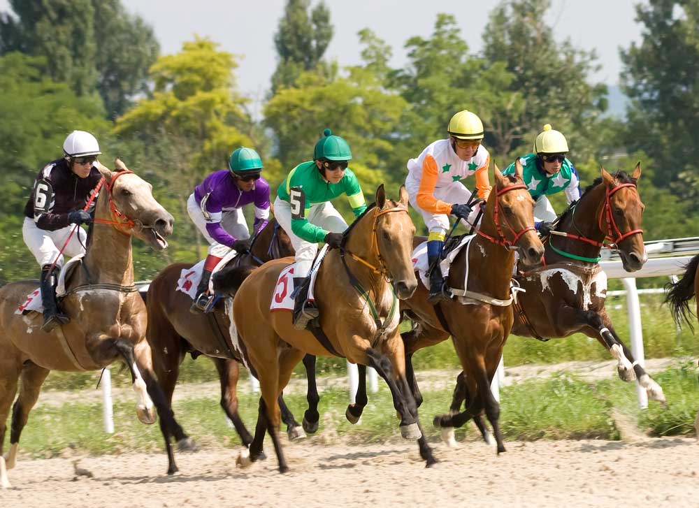 picture of horse racing