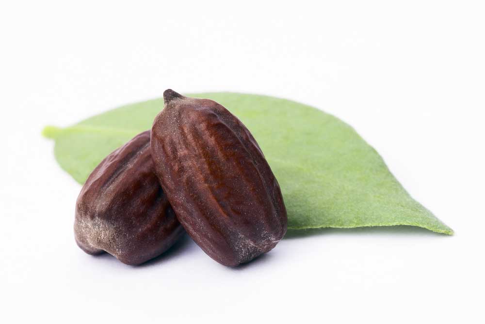 picture of jojoba