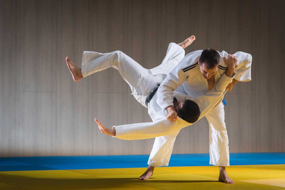 picture of Judo