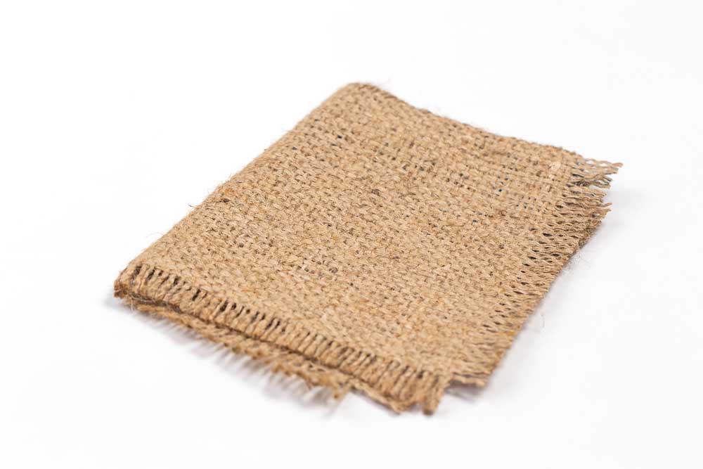 picture of jute