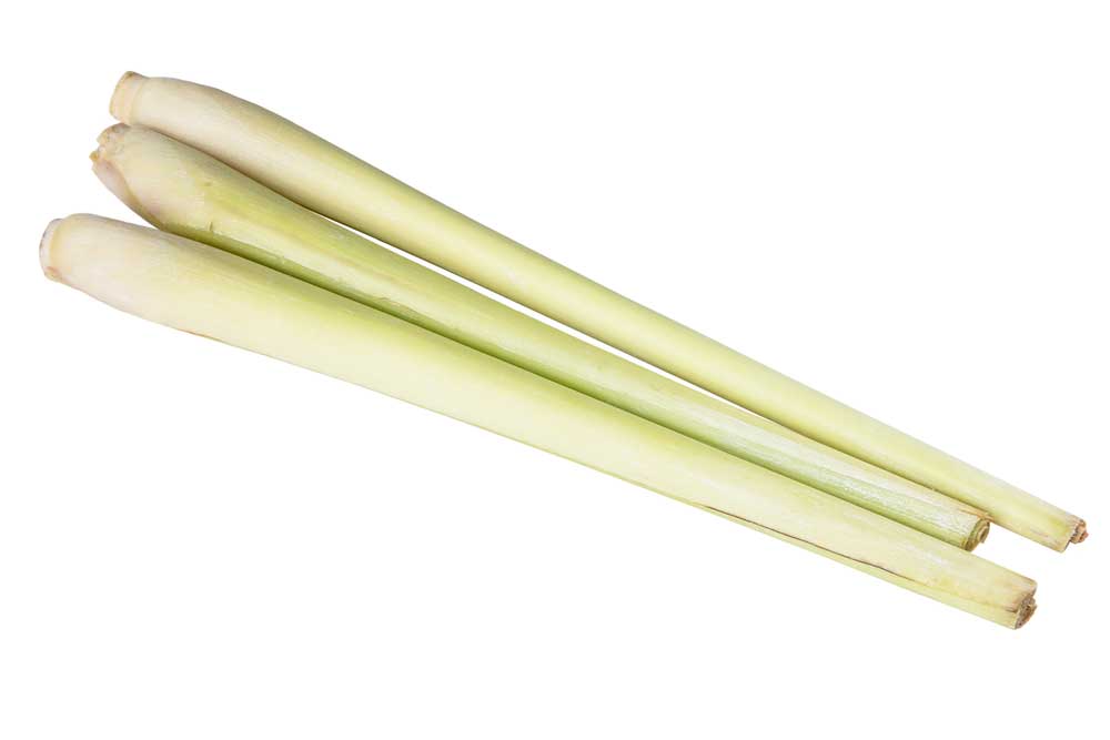 picture of lemongrass