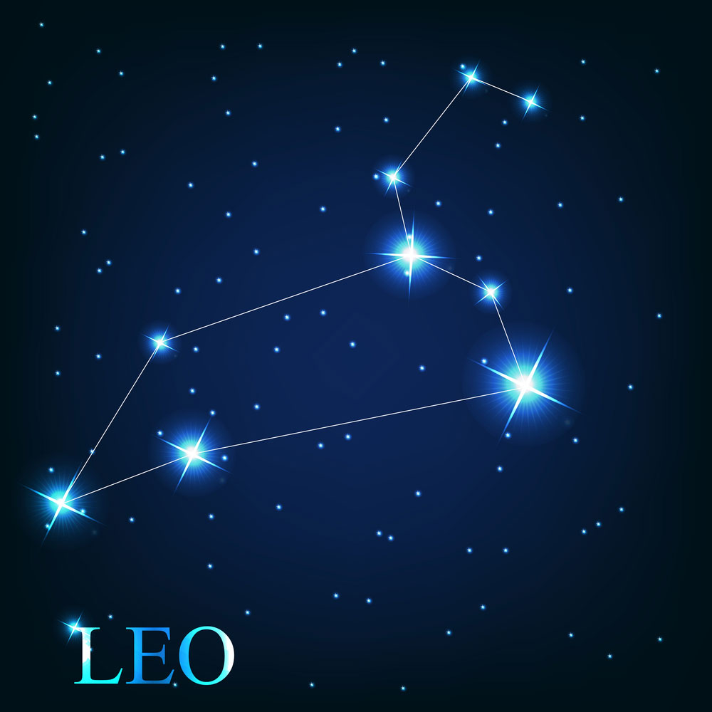 picture of Leo