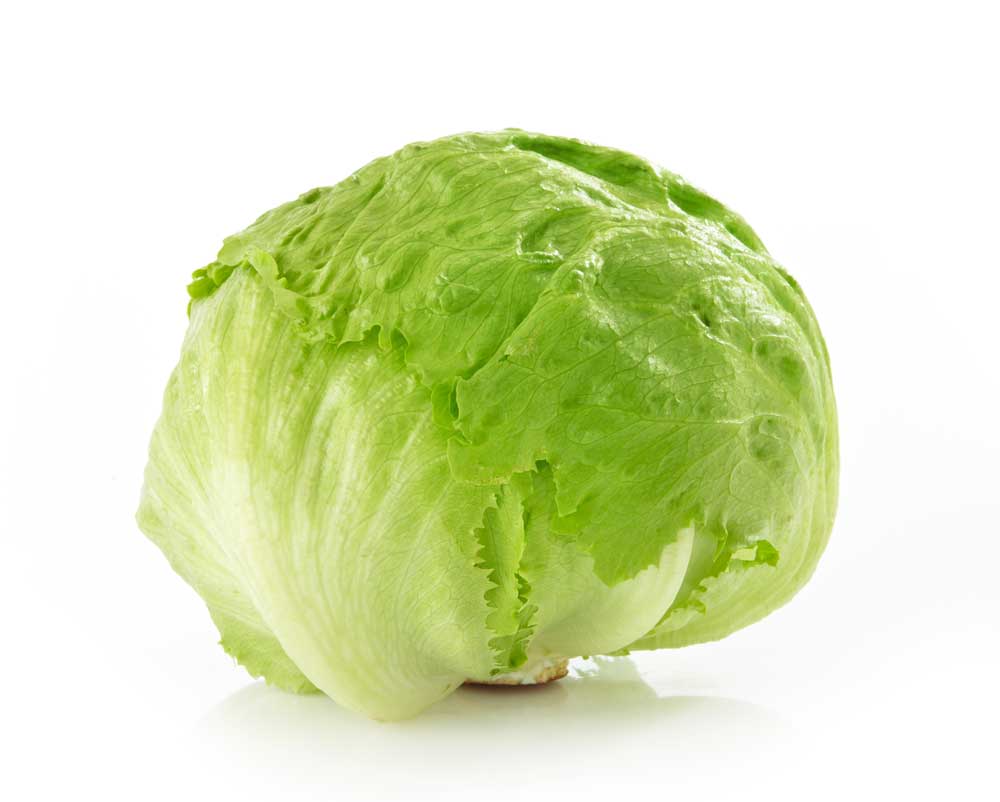 picture of lettuce