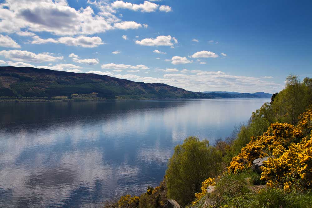 picture of loch