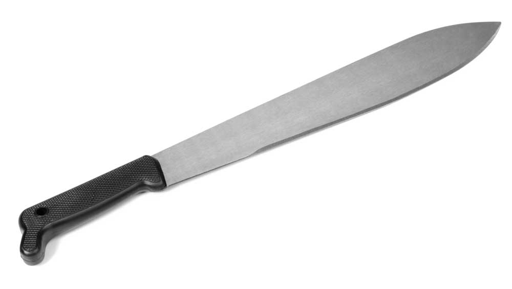 picture of machete