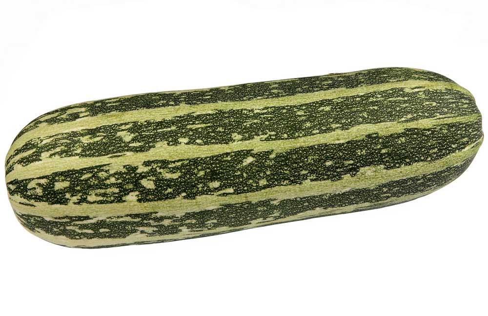 picture of marrow