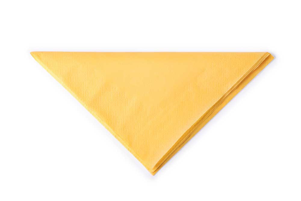 picture of Napkin