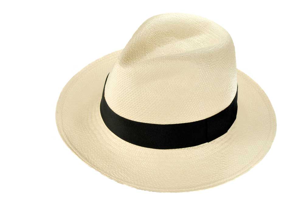 picture of panama hat