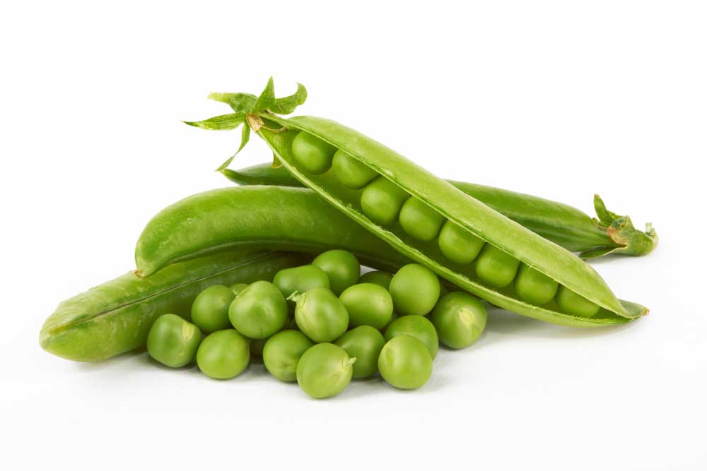 picture of pea