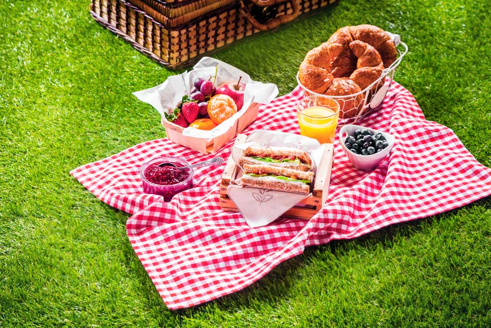 picture of picnic