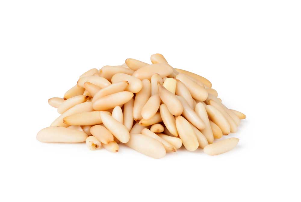 picture of pine-nut