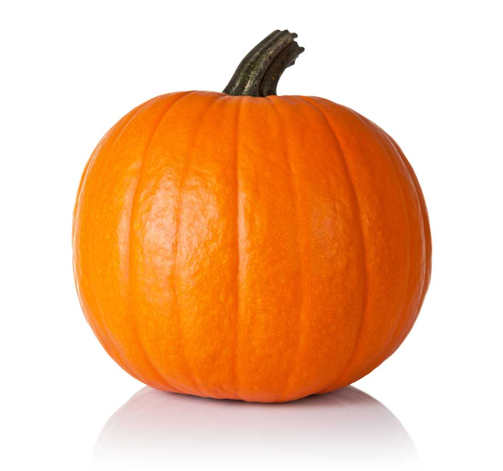 picture of pumpkin