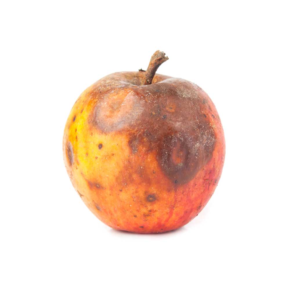 picture of rotten-apple